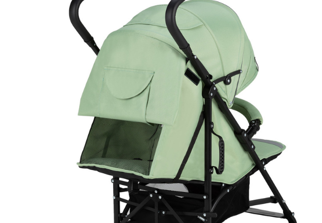 Carucior sport Momi Akira Green